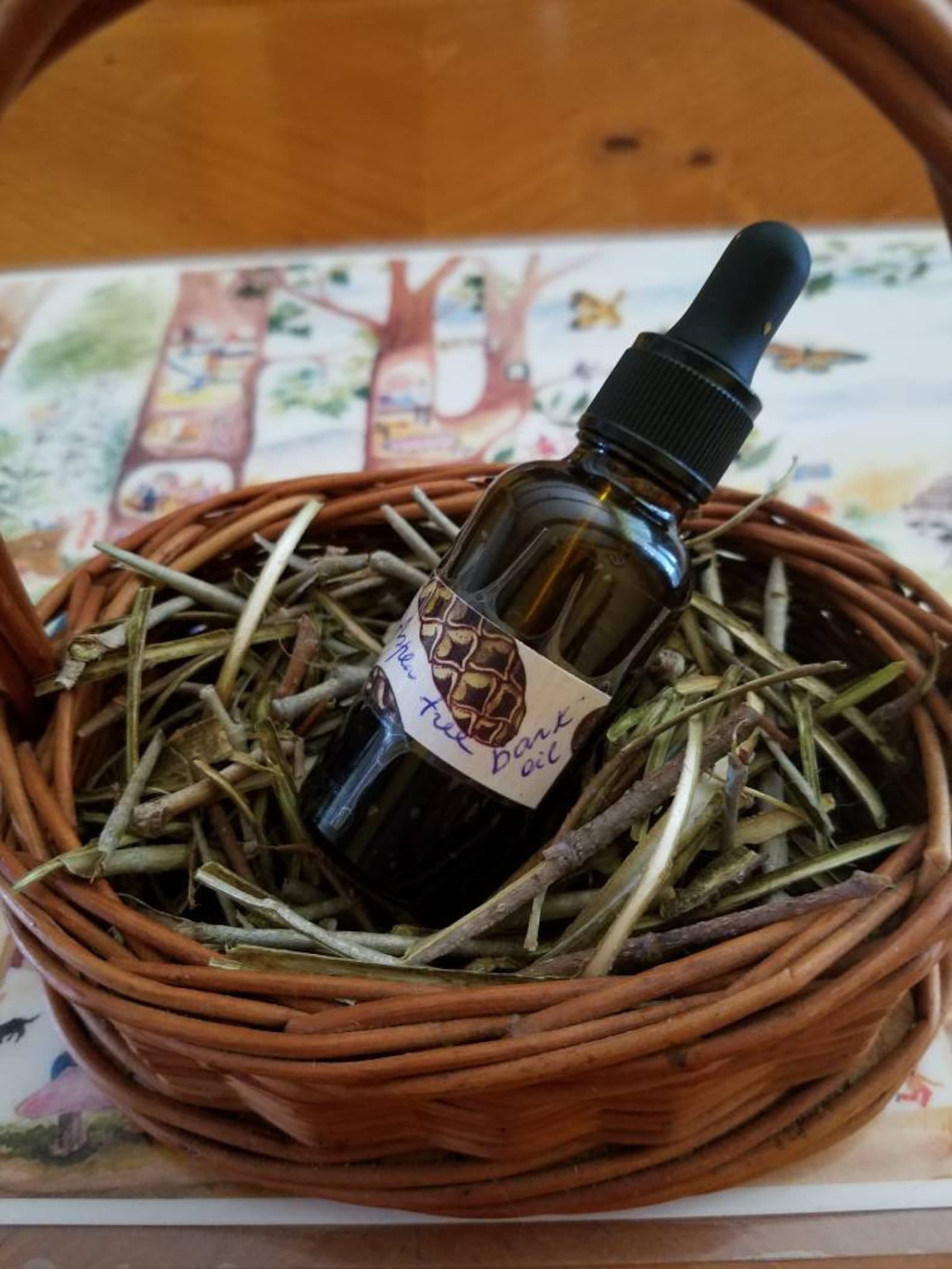 Aspen Tree Bark Oil Etsy