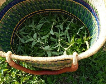 Stinging Nettle Tea - Dry Stinging Nettle