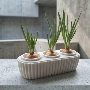 Op de afbeelding: Een witte, geribbelde plantenbak met drie secties, elk met een ui met groene spruiten. De plantenbak staat op een betonnen oppervlak, met een vage betonnen achtergrond. De uien zitten in kleine, ronde witte bakjes.