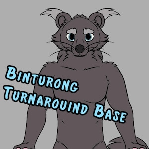 May include: A cartoon illustration of a binturong with a gray body, blue eyes, and pink paws. The text "Binturong Turnaround Base" is in a blue, outlined font. The background is a solid gray.