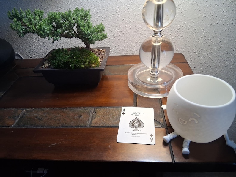 May include: A still life arrangement featuring a bonsai tree in a dark square pot, a clear glass lamp, a white ceramic planter with a face design, and a Bicycle playing card with the Ace of Spades.