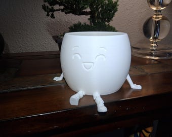 Mini maceta de 3 pulgadas