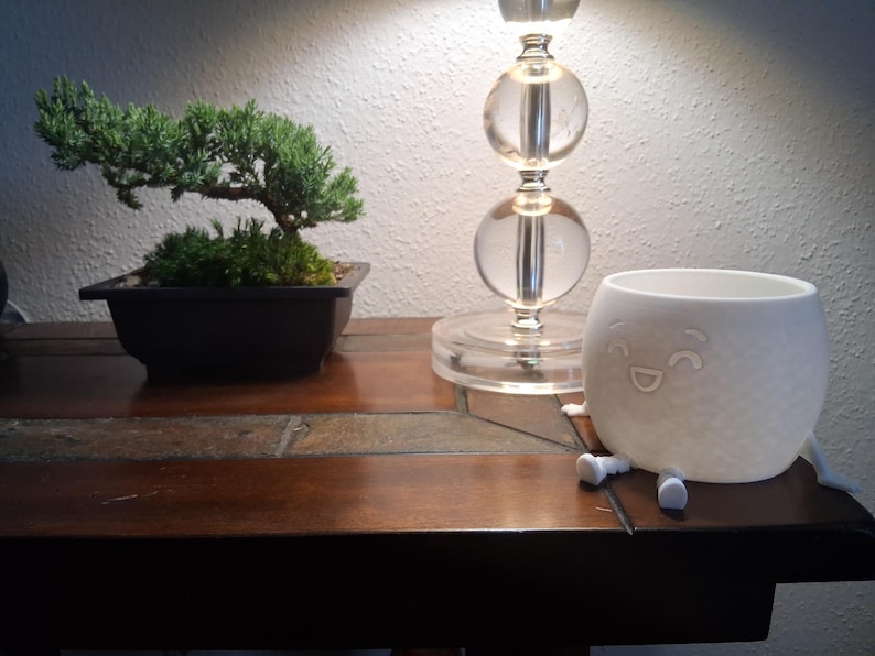May include: A miniature bonsai tree in a black rectangular pot is on a wooden table, beside a white ceramic planter with a smiling face. A clear glass lamp with a round base is also on the table.