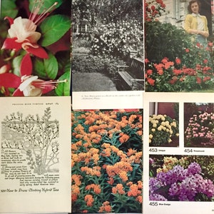 50 piece In the Garden Ephemera Pack image 9