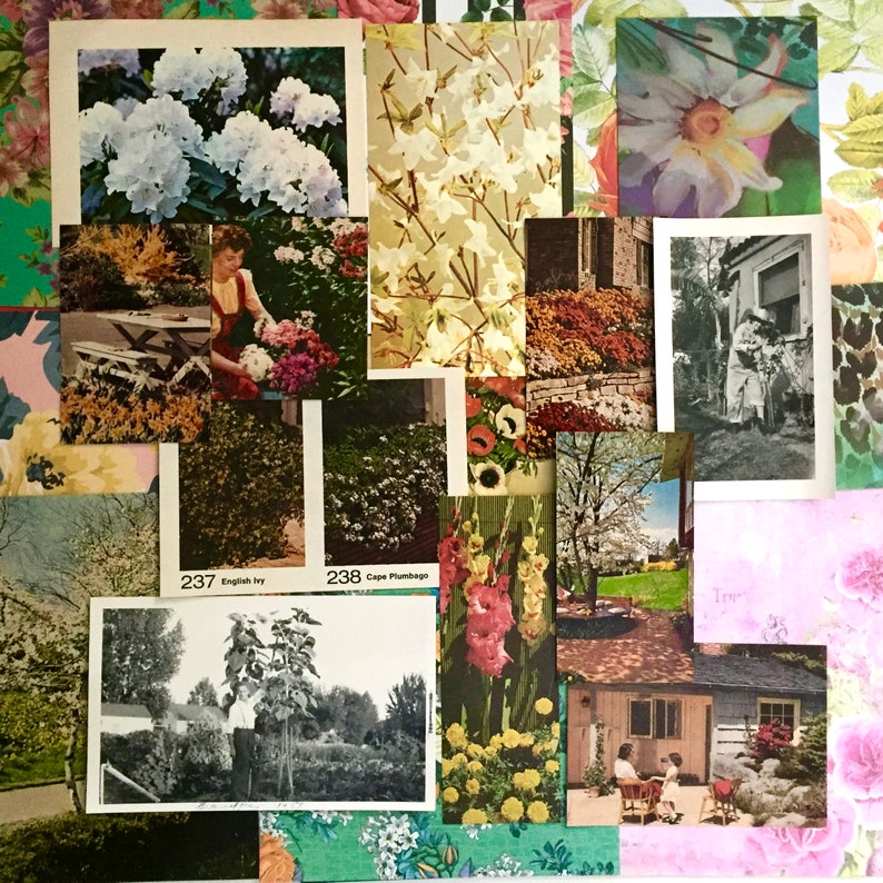 50 piece In the Garden Ephemera Pack image 6