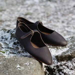 May include: A pair of dark brown leather Mary Jane style shoes with pointed toes and a strap with a buckle closure. The shoes are sitting on a gray rock with snow.