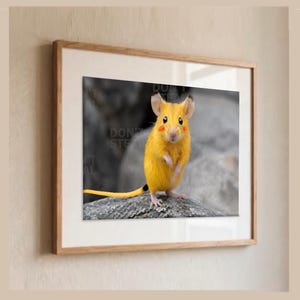 Ilustración de criatura ratonera inspirada en Pikachu / Estampado realista de animal eléctrico amarillo (descarga digital)