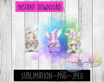 Instant Download Spring Gnomes Sublimation graphic PNG-JPEG
