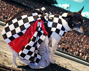 Checkered Sequin Pet Dress, Race Car Driver Costume, Glitter Dog Apparel