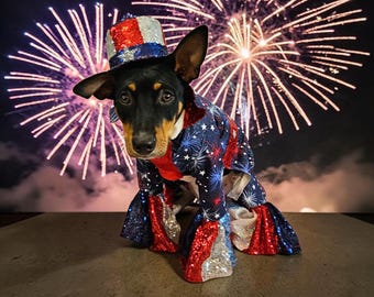 Patriotic pet costume, 4th of July pet body suit, red, white, and blue dog costume