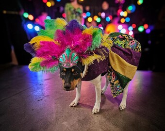 Embroidered Fleur De Lis Pet Dress, Glitter Mardi Gras Costume, Festive Pet Apparel