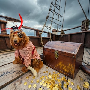 May include: A dog dressed as a pirate on a wooden ship deck. The dog wears a red and white striped shirt, a pirate hat with a feather, and an eye patch. A wooden treasure chest and gold coins are nearby.