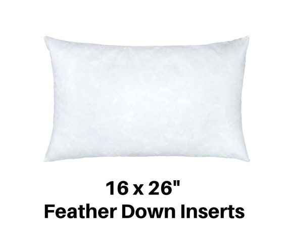 16 x 26 down pillow insert