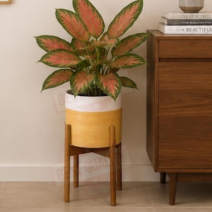 May include: A potted Aglaonema plant with variegated green and pink leaves sits in a cylindrical planter featuring a white upper band and a yellow lower section. The planter is supported by a four-legged wooden stand with a dark brown finish.