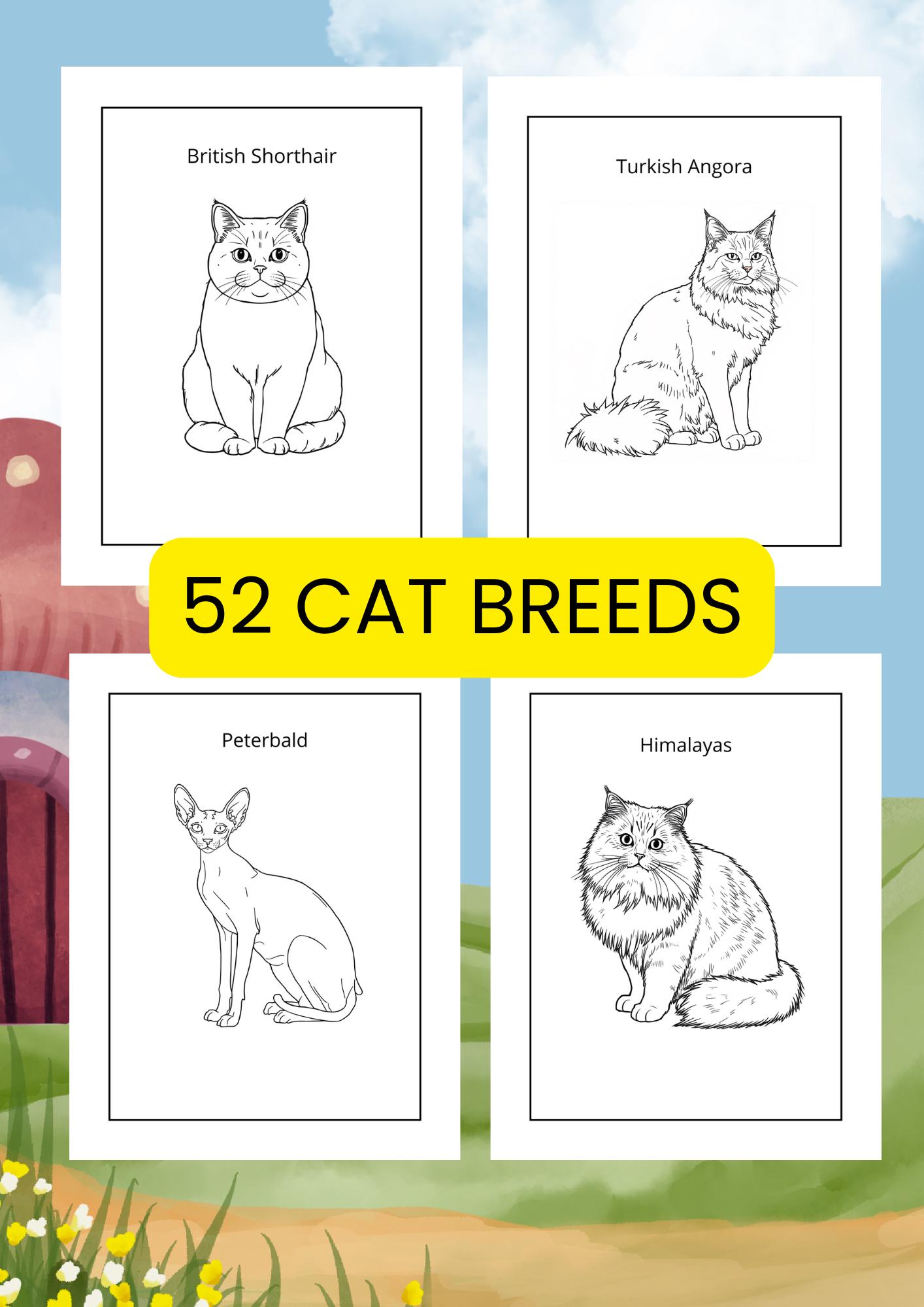 Cat Breeds Coloring Book Pr…