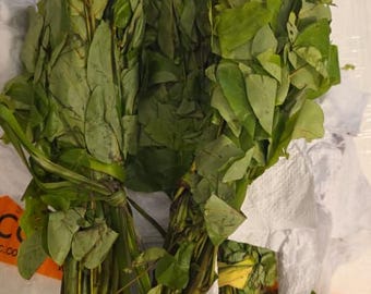 Foglie fresche di Oha (Ora) – Autentico ingrediente nigeriano per la zuppa di Oha