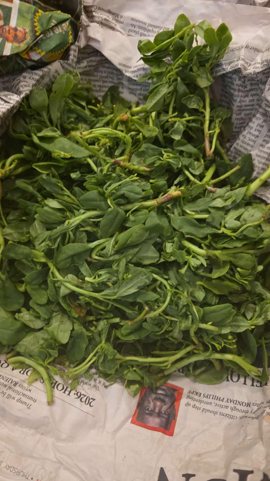 Frozen Waterleaf – Washed, Sliced African Vegetable for Soups (500g) - Etsy