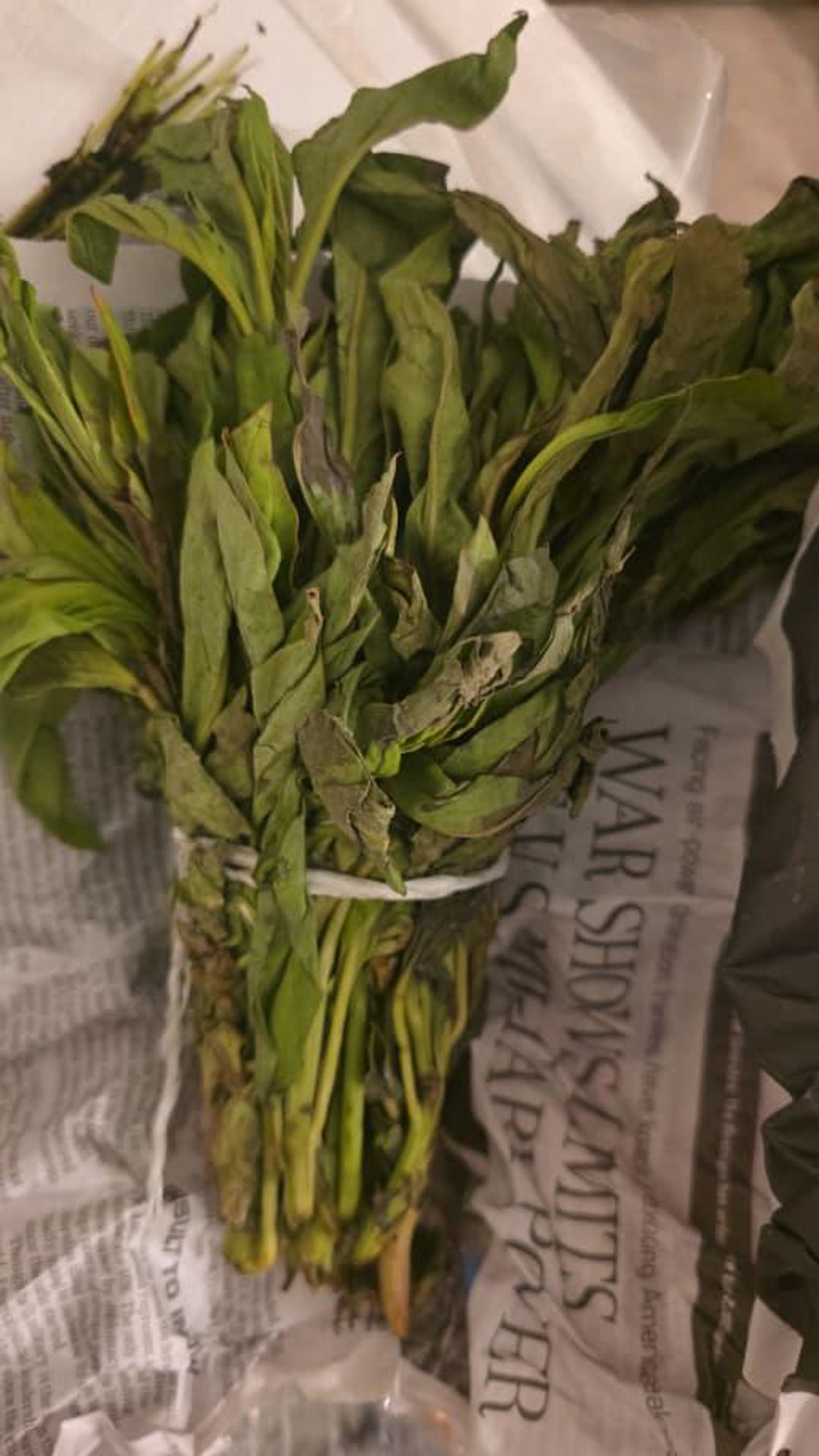 Marogo Fresh Shoko (lagos Spinach) – Nigerian Leafy Vegetable | Efo Shoko for ...