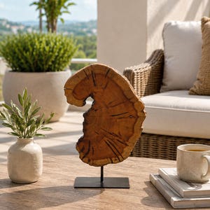 May include: A decorative sculpture featuring a natural, irregular slice of brown wood with visible grain and dark cracks, mounted vertically on a thin black metal rod attached to a flat, rectangular black metal base for stable display.