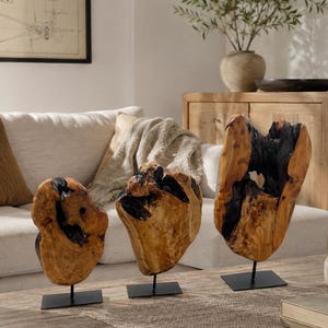 May include: Three decorative sculptures made from natural wood root sections with charred black centers. Each piece features a polished light brown wood grain and is mounted on a thin black metal rod attached to a square black metal base.