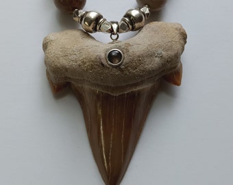 Shark Tooth,Shark Tooth Necklace, Shark Tooth With Star Sapphire, Fossil Coral Beads and Shark Tooth