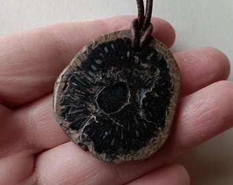 Fossil Pine Cone, Fossil Pine Cone Necklace, Araucaria Mirabilis Fossil Pinecone