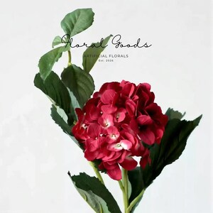 Ruby Hydrangea Stem – 40" immagine 3