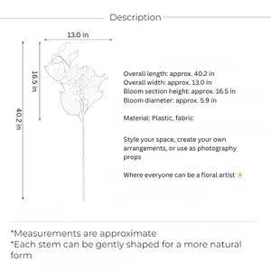 Ruby Hydrangea Stem – 40" immagine 4