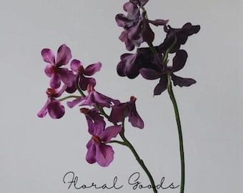 Velvet Vanda Orchid Stem – 24"
