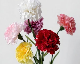 Classic Carnation Stem – 20"