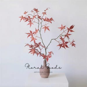 Japanese Maple Branch