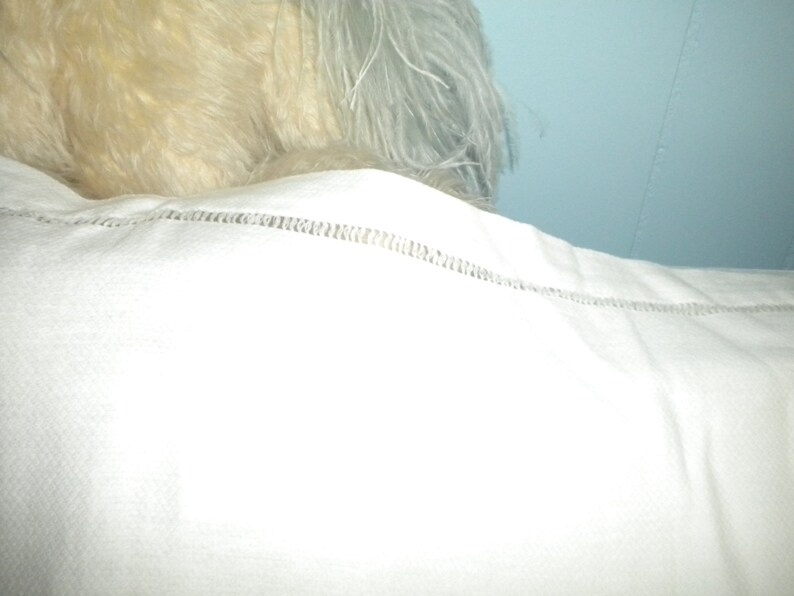May include: White cotton pillowcase with a delicate stitched edge.