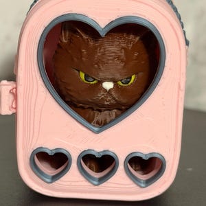 May include: A light pink 3D-printed pet carrier with a heart-shaped window and three smaller heart-shaped ventilation holes at the bottom. Inside the carrier, a dark brown cat with yellow eyes and a white nose is visible through the heart window.