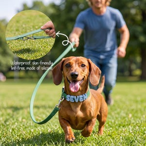 Coleira de silicone personalizada para cães, conjunto de guia com nome personalizado, presente para animais de estimação em tons pastel