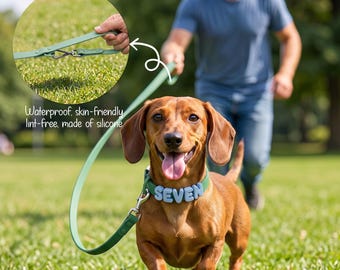 Collare per cani in silicone personalizzato, set guinzaglio con nome personalizzato, regalo per animali domestici dai colori pastello