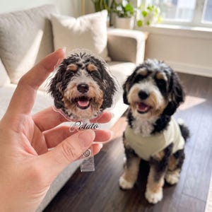 Custom Pet Photo Badge Reel • Personalized Dog Face Retractable ID Holder