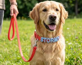 Custom Silicone Dog Collar with 3D Letters, Waterproof Pet Leash Set