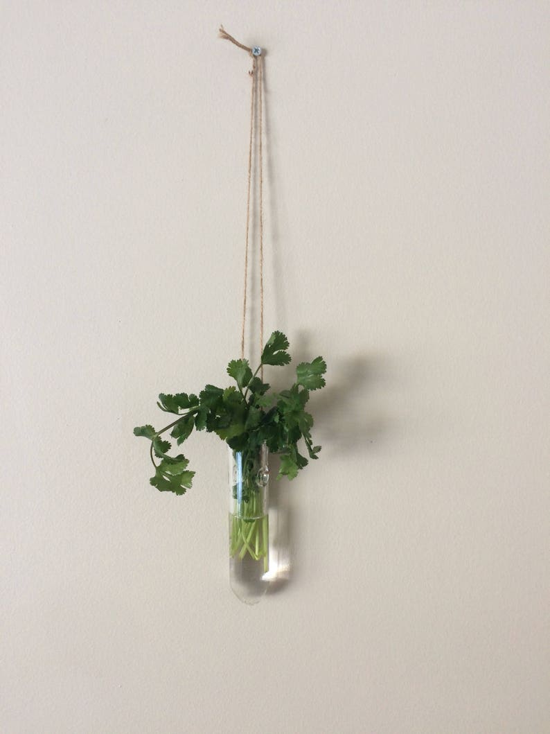 Hanging Glass Vases / Set of Three Vases / Test Tube Vase / Etsy Canada