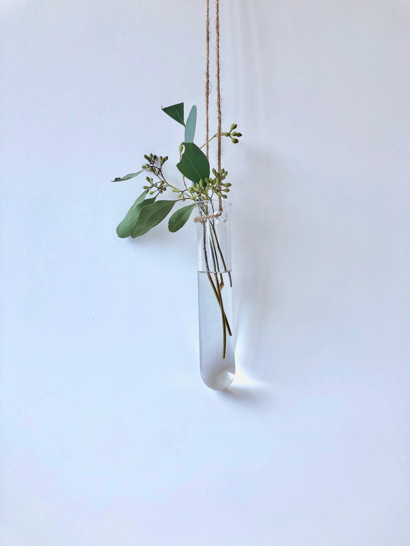 Hanging Glass Vase / Test Tube Vase / Hanging Glass Planter / Etsy