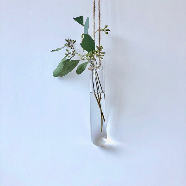 Glass Wall Vase Etsy