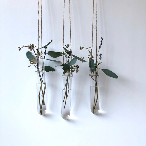 Hanging Planter Tube 3 Pieces Wall Bud Vase Glass Test Etsy