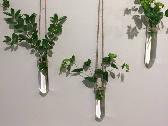 Hanging Glass Vases Set Of Three Vases Test Tube Vase Etsy