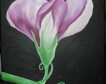 Sweet Pea Flower - original oil  painting