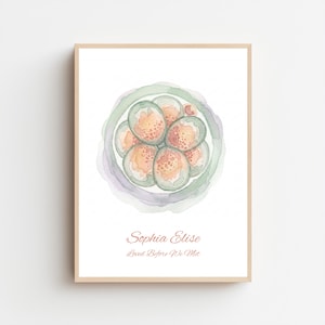 Può includere: Una stampa rettangolare verticale con un'illustrazione ad acquerello di un embrione multicellulare nei toni del pesca, verde e lavanda. Sotto l'illustrazione, il testo riporta Sophia Elise e Loved Before We Met in un carattere corsivo.