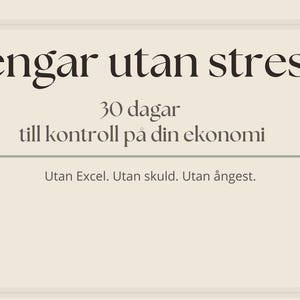 30 Day Money Reset Guide | Budget & Mindset Workbook | Swedish PDF | Digital Download