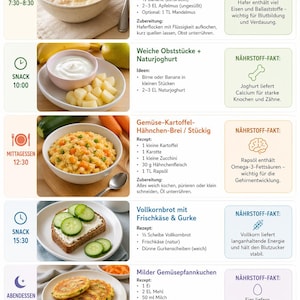 Könnte beinhalten: Eine deutschsprachige Infografik, die einen gesunden Ernährungsplan für Kleinkinder im Alter von 1-3 Jahren darstellt. Der Plan umfasst Haferbrei mit Banane und Apfel, weiche Früchte mit Joghurt, Gemüse-Kartoffel-Hühnchen-Brei, Vollkornbrot mit Frischkäse und Gurke sowie Gemüsepuffer.