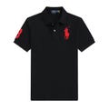 Ralph Lauren Big Pony Polo 27 Colorways product logo