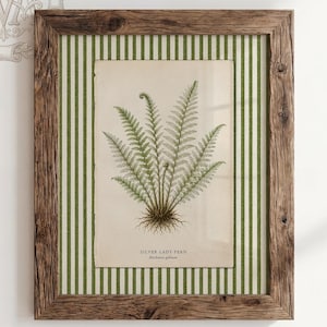 Może przedstawiać: Oprawiony wydruk botaniczny z szczegółową ilustracją paproci z napisem "Silver Lady Fern". Wydruk jest umieszczony na zielono-białym tle w paski i zamknięty w rustykalnej drewnianej ramie. Tekst "Archive Vintage Arts" znajduje się na dole.