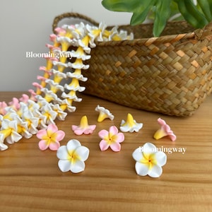 Puede incluir: Una cesta tejida que contiene un collar largo de flores de plumeria blancas y rosas con centros amarillos. Varias flores de plumeria individuales en blanco, rosa y amarillo están esparcidas frente a la cesta. El texto Bloomingway es visible.