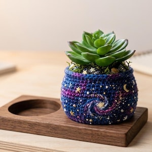 May include: A small succulent plant in a hand-crocheted pot with a celestial design. The pot is dark blue with a swirling galaxy pattern in pink and gold, adorned with gold stars and a crescent moon. It sits on a wooden tray.